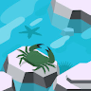 Meet your Posher, Armando